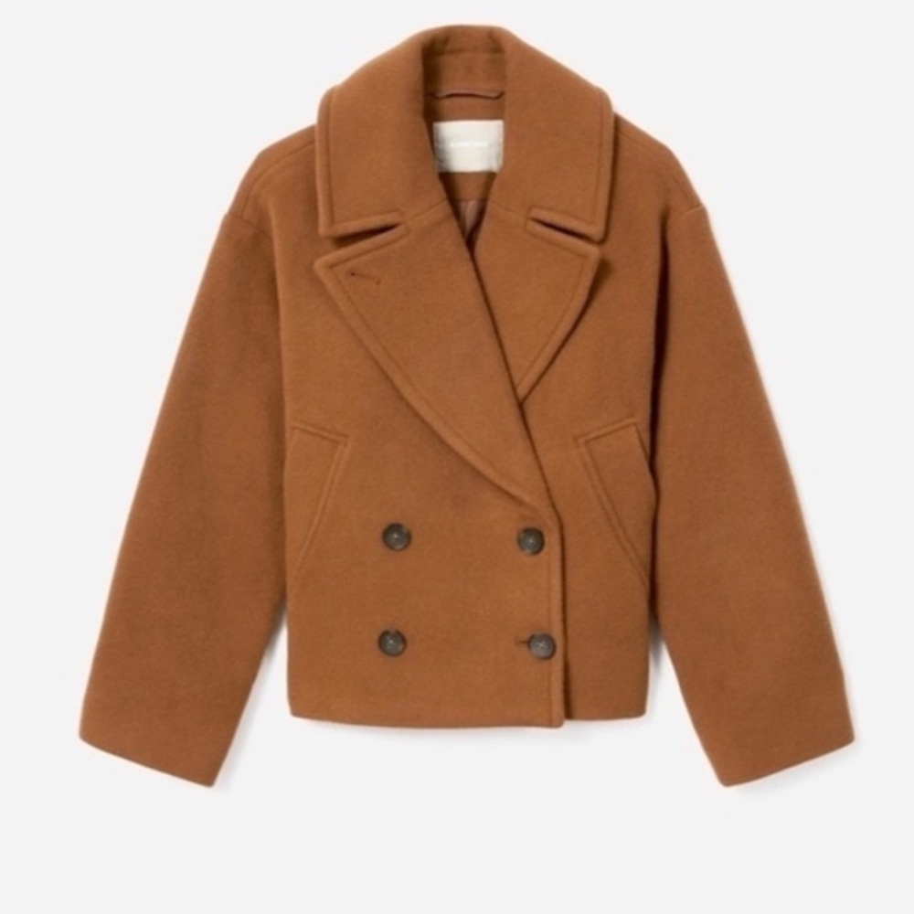 Everlane Brown Pea Coat